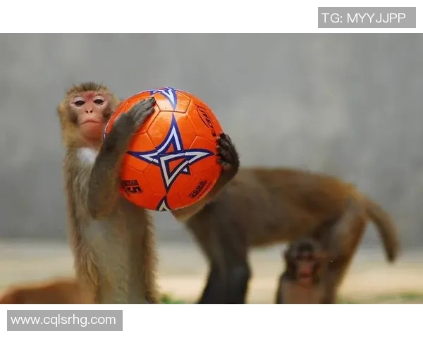 动物界的足球明星们：他们的精彩瞬间与独特魅力揭秘