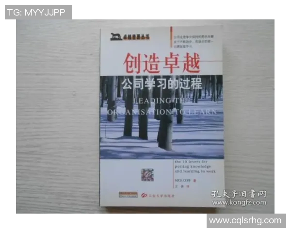 刘铮的奋斗历程与成长故事：从平凡到卓越的蜕变之路